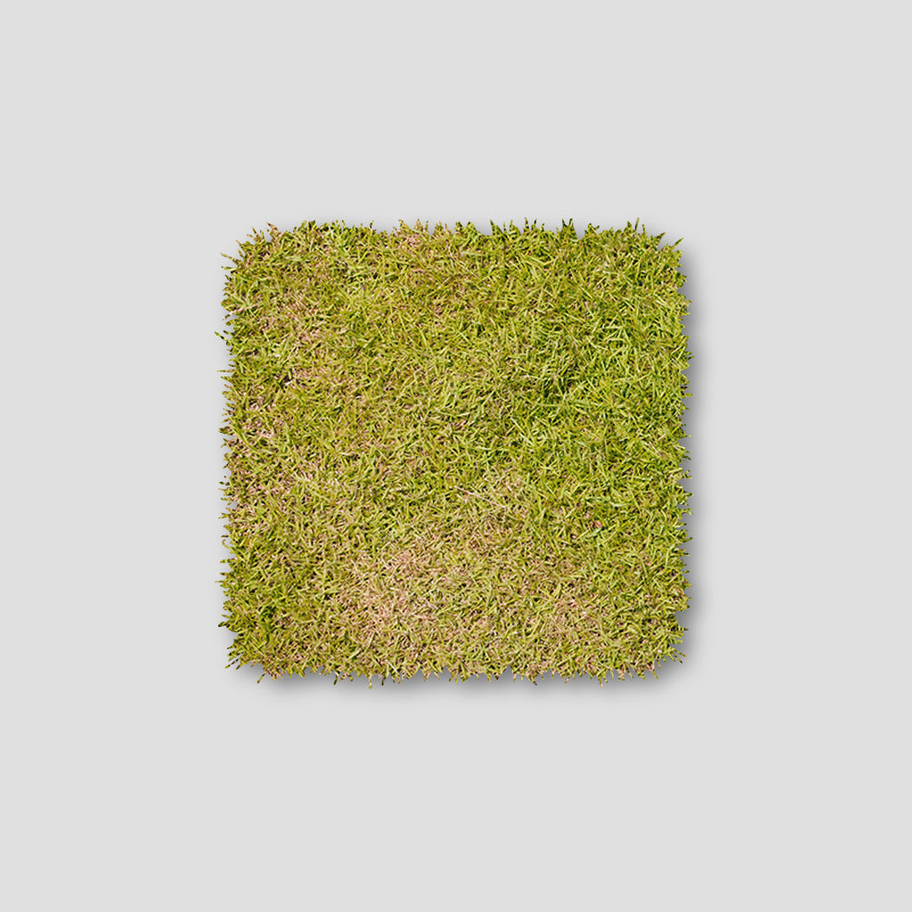 Thin or Stressed Lawns