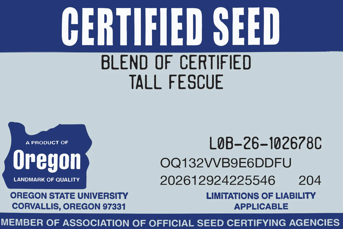 Double Dark Green Premium Grass Seed (Turf Type Tall Fescue)