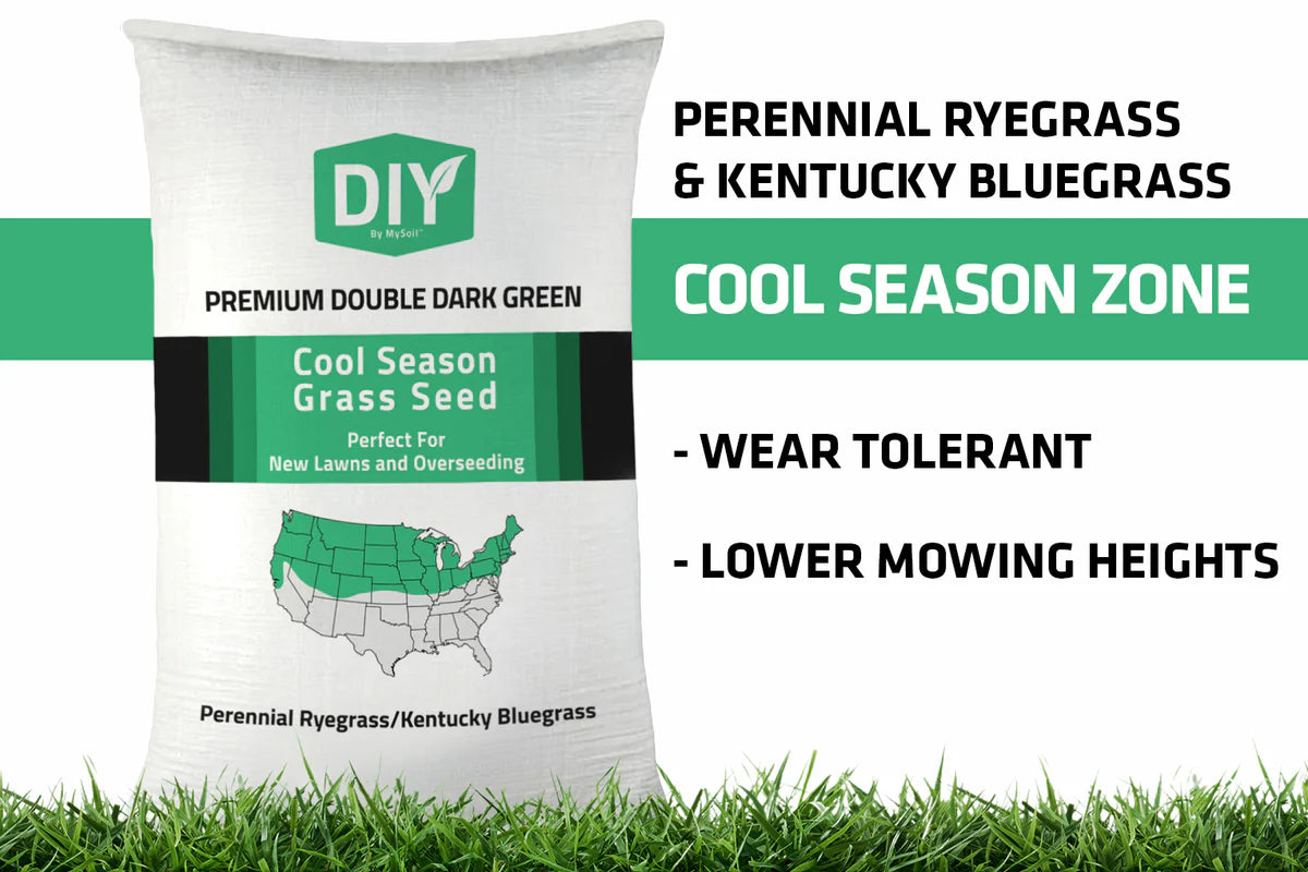 Double Dark Green Premium Grass Seed (Kentucky Bluegrass + Perennial Ryegrass)