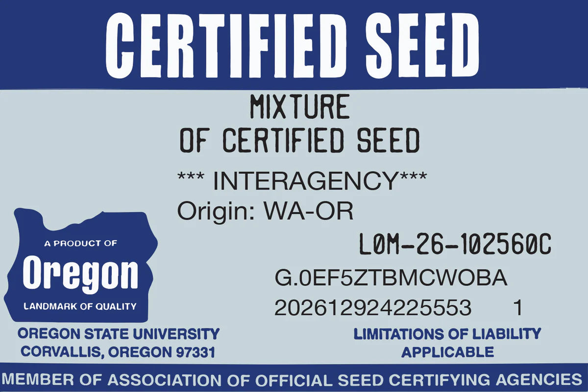 Double Dark Green Premium Grass Seed (Kentucky Bluegrass + Perennial Ryegrass)